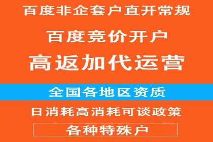 金融行业SEM运营托管的策略与效果